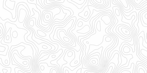 Vector black wave curve Topography grid map. white wave line geography landscape Topo contour map on white background. Geographic mountain relief diagram line pattern.