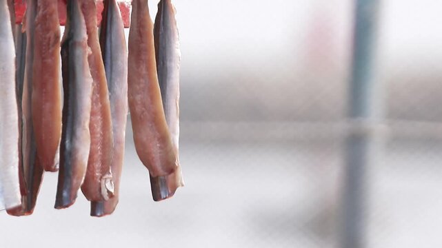 물가 근처 건조대에 말리고 있는 생선