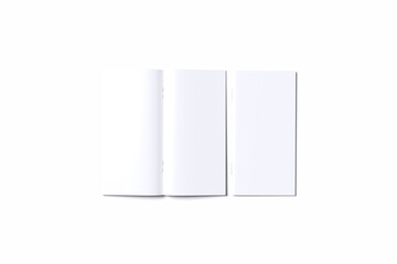 DL Bifold Brochure Blank