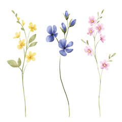 Naklejka premium Flowers and leaves set, floral watercolor digital illustration for greeting card, invitation and other printing design. Isolated on white. Hand drawing.