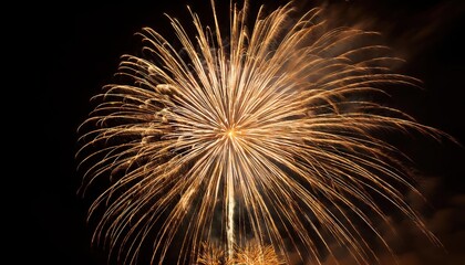 new year Fireworks on black Background