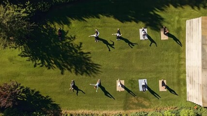 Aerial View of Outdoor Yoga Class: A serene scene captured from above, showcasing a group of individuals practicing yoga poses on a lush green lawn, bathed in the golden light of the sun. Their shadow