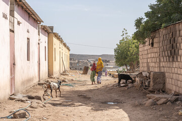 Houses of Dikhil town in the south of Djibouti, Horn of Africa