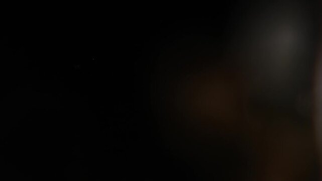 Study of Protozoa and Algae under the microscope for education.