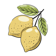 Branch with lemons isolated on white background. Vintage lemons icon in cartoon design. Vector illustration