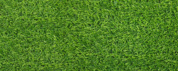 Green artificial grass as background, banner design