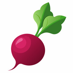 beet with white background