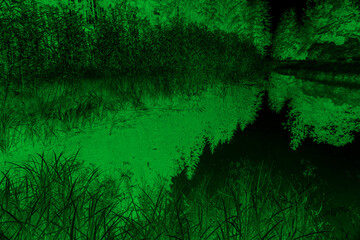A green forest with a body of water in the background