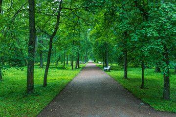 A shaded pathway winds through a lush park, lined with towering trees and dappled sunlight. Benches invite relaxation along the way, promising a peaceful escape from the hustle of the day.