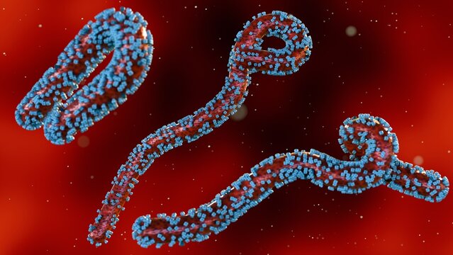 A 3D rendering of a close-up view of scattered Marburg virus particles