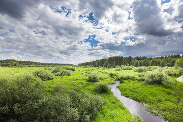 A field of grass with a small stream running through it