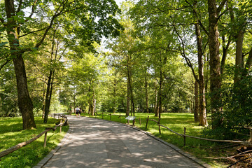 Parc et forêt à Münich