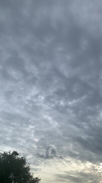 Nature views and nature sounds, birds singing.