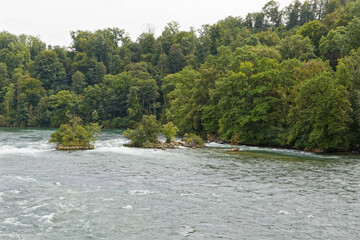 Chutes du Rhin