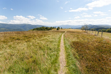 Chaumes et crêtes du Ventron