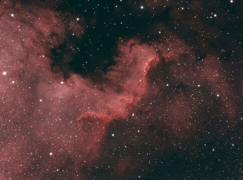 astrophotography NGC 7000, C20 North America Nebula