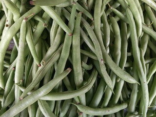 Fresh green beans as background. A pile of fresh and raw string beans or snap beans or green beans.