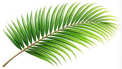 Obraz premium A stylized illustration of a palm branch with intricate details, featuring lush green leaves and a slender stem, symbolizing tropical vibes and natural elegance.