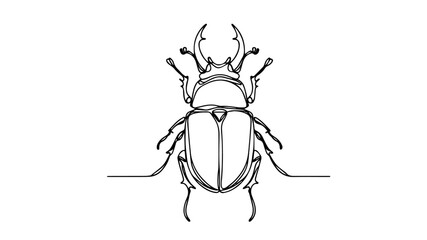 Line art drawing of a beetle 