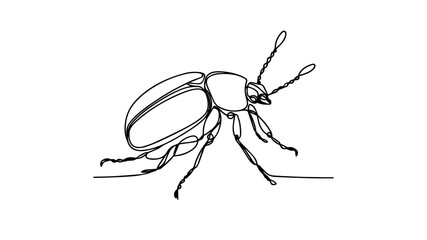 beetle line art illustration