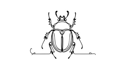 beetle one line illustration 
