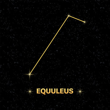 Constellation Equuleus banner. Flat style. Vector illustration.
