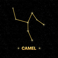 Constellation Camel banner. Flat style. Vector illustration.