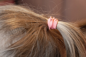 Close-up of a ponytail of hair with a pink elastic band. The girl's hairstyle, brittle dry hair.