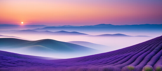 sunset over the lavender