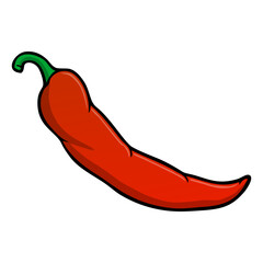 chili vector illustration