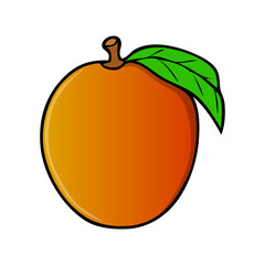 peach fruit vector illustration