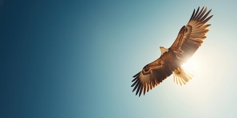 A close up of a majestic bald eagle soaring high in the sky 