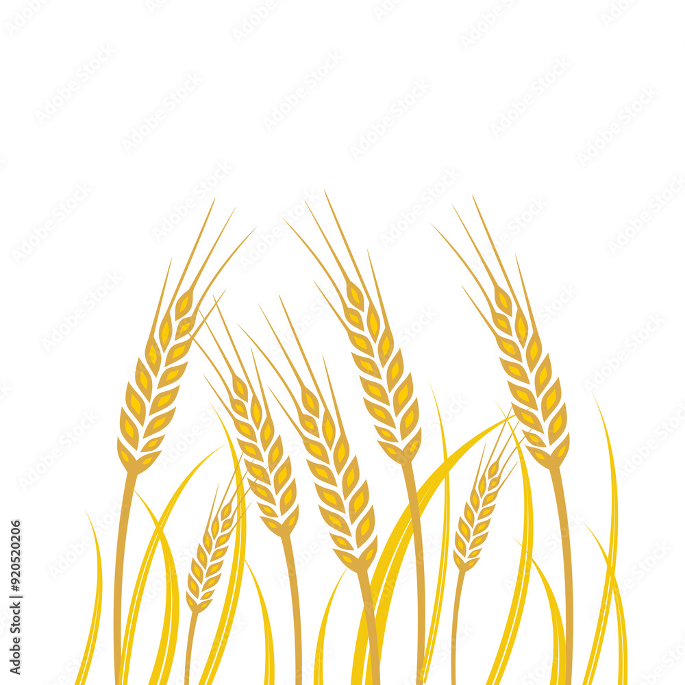 Poster wheat field background icon isolated on transparent background