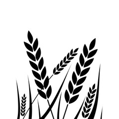Wheat field background icon isolated on transparent background