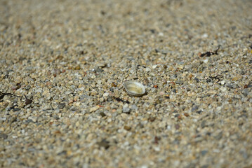 Finistère Nord, Landéda, Bretagne - plage et sable