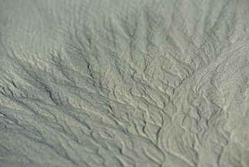Finistère Nord, Landéda, Bretagne - traces d'eau sur le sable