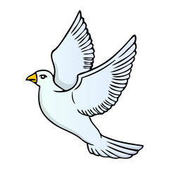 pigeon vector illustration