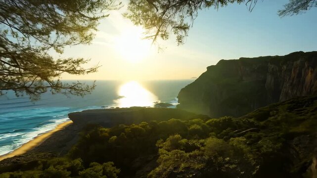 Pushing through a mo prob at sunset near the ocean in a coastal forest