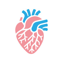 Obraz premium Human heart anatomicall flat style