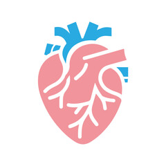 Human heart anatomicall flat style