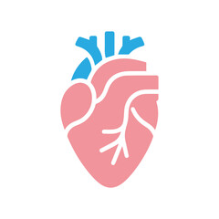 Human heart anatomicall flat style