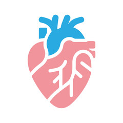 Human heart anatomicall flat style