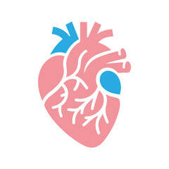 Human heart anatomicall flat style