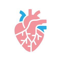 Human heart anatomicall flat style