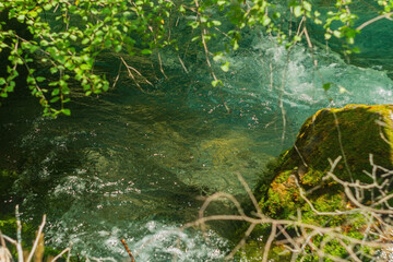 Flow of a mountain clear river with a green turquoise hue in the lower calm tiers, where channel widens and water flows measuredly under crowns of trees and mosses overgrow on the stones