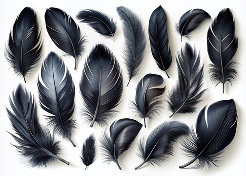 Exquisite black feathers in various shapes and sizes set against a crisp white background, perfect for design elements, icons, and isolated illustrations.
