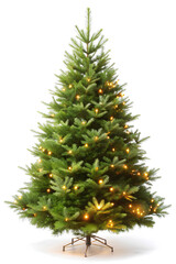 Unadorned Christmas tree isolated on white background. Clipping path