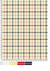  Illustration check shirt fabric idea.