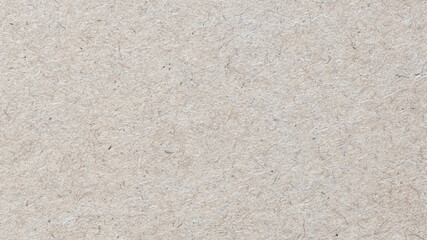 Watercolor paper texture. Paper texture for use as a background
