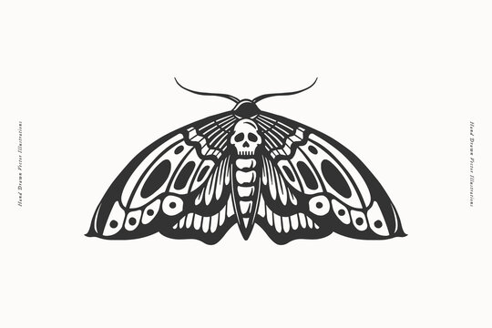 Black and white illustration of a moth with a skull motif on its body, embodying a gothic and eerie aesthetic. Ideal for tattoos, logos, or dark-themed art.